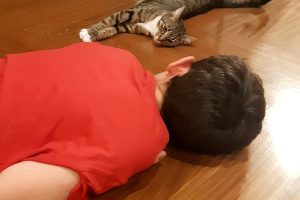 giuliani-parquet (2)